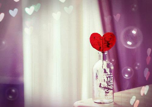 安沁宋熠免费阅读单身闺蜜安沁宋熠小说阅读