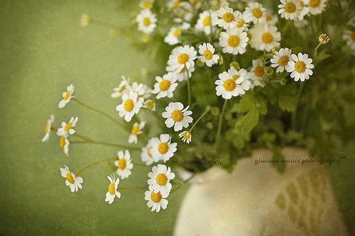 (番外)+(全文)阴湿男主攻略作:全文+后续+大结局(向宋晨,林默,顾辞 )小说免费阅读无弹窗大结局_阴湿男主攻略作:全文+后续+大结局无弹窗完整版阅读