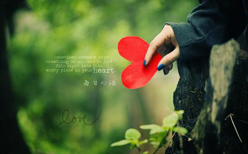 老公沉迷养鱼半年花光十万存款最新小说(苏暖林志远梁思思)全文阅读