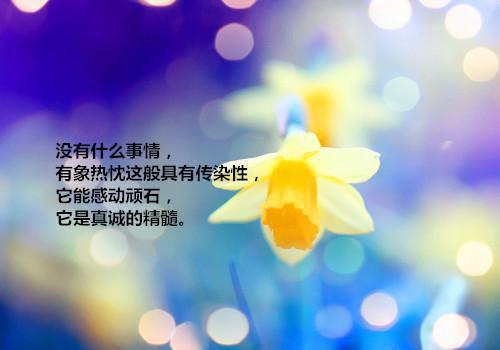 寸头狼狗(江星周贺)全文免费阅读无弹窗大结局_(寸头狼狗免费阅读全文大结局)寸头狼狗最新章节列表_笔趣阁(江星周贺)