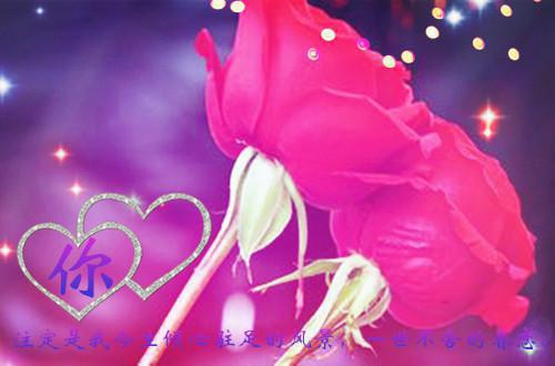 旷野里的星:全文阅读徐枳烟小说全文免费阅读