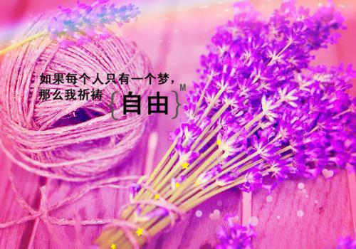 芙蓉姐姐变身励志女神的励志故事