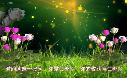 南筱筱顾翊辰全文全章节傲娇爹地是个宠妻狂魔免费小说阅读